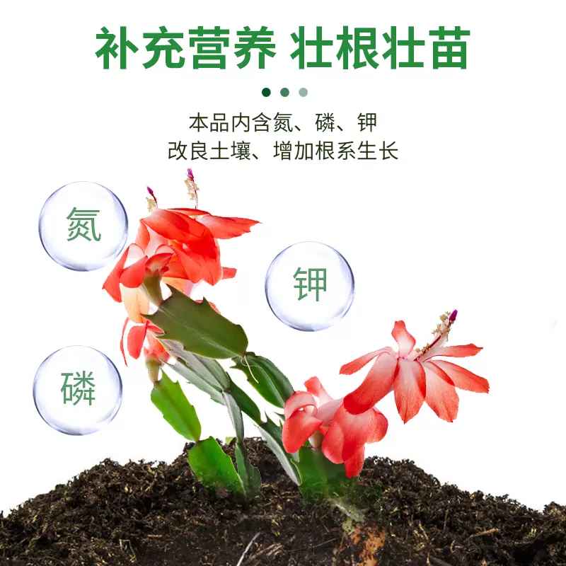 蟹爪兰肥料专用肥浓缩营养液蟹爪莲花卉绿植盆栽家用水土培液体肥