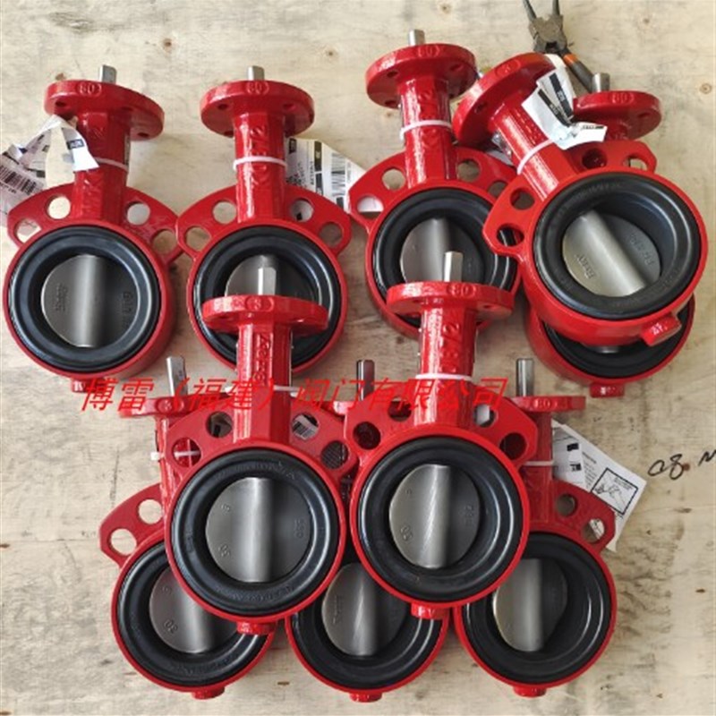 bray S30光杆蝶,博雷手动对夹式蝶。博雷门