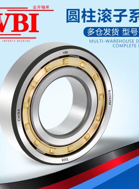 VBI圆柱滚子轴承RN219 220 222 228 304 305 306 307E