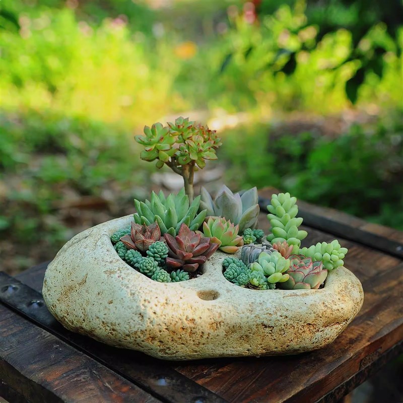 鹅卵石花盆石头菖蒲植物多肉复古盆景摆件Q非水培陶瓷花盆鱼缸
