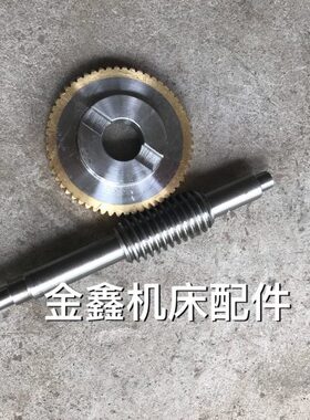 常州新墅LDB-125（6150）数控电动刀架蜗轮蜗杆L206/蜗轮Z58