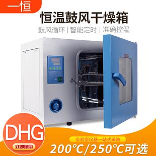 9070A数显电热鼓风干燥箱实验室电热恒温干燥箱烘箱 上海DHG