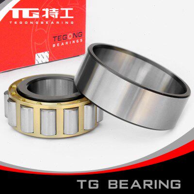 特工TG 圆柱滚子轴承 RN309M 502309H 内径45mm外径86.5厚25mm