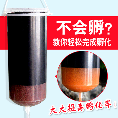 丰年虾孵化器孵化桶大红卵细卵浅盘孵化器幼鱼饲料简单方便