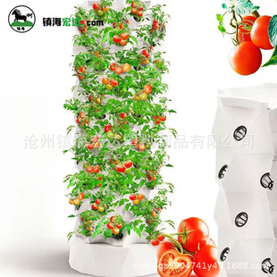 智能气雾栽培菠萝塔垂直种植水培塔无土栽培蔬菜草莓雾培菠萝塔