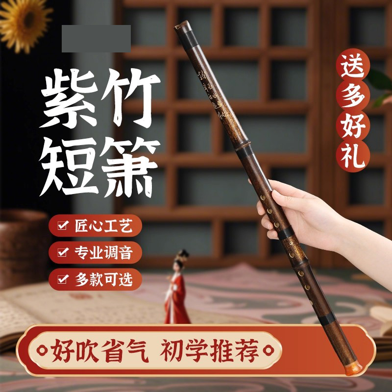 洞箫紫竹短箫初学入门G调F专业古风八8孔六6高档短萧笛潇民族乐器