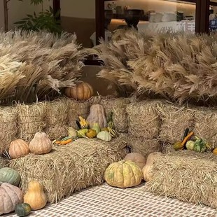 草垛 草墩 方形圆形草垛子农家乐稻草装饰草垛凳子拍摄道具干稻草