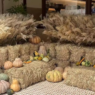 草垛 草墩 方形圆形草垛子农家乐稻草装饰草垛凳子拍摄道具干稻草