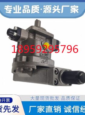 HY32 40 55 63 80 100 107 125 160 250P01/P04-RP LP恒源柱塞泵