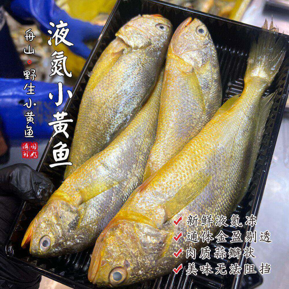【闹妈海鲜】[鲜冻]舟山野生小黄鱼 各种规格