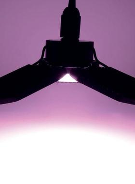 植物生长灯led全光谱补光灯药用植物E27拨插款两用折叠跨境爆款CB