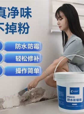 艺术笨鸟补墙膏凌创透明防水胶防潮防霉墙面修补白色墙体修复腻子