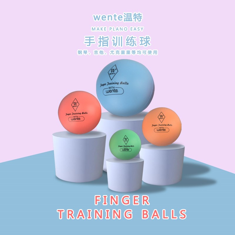 德国进口温特手型手指训练球钢琴矫正器儿童指力练习球辅助握力球