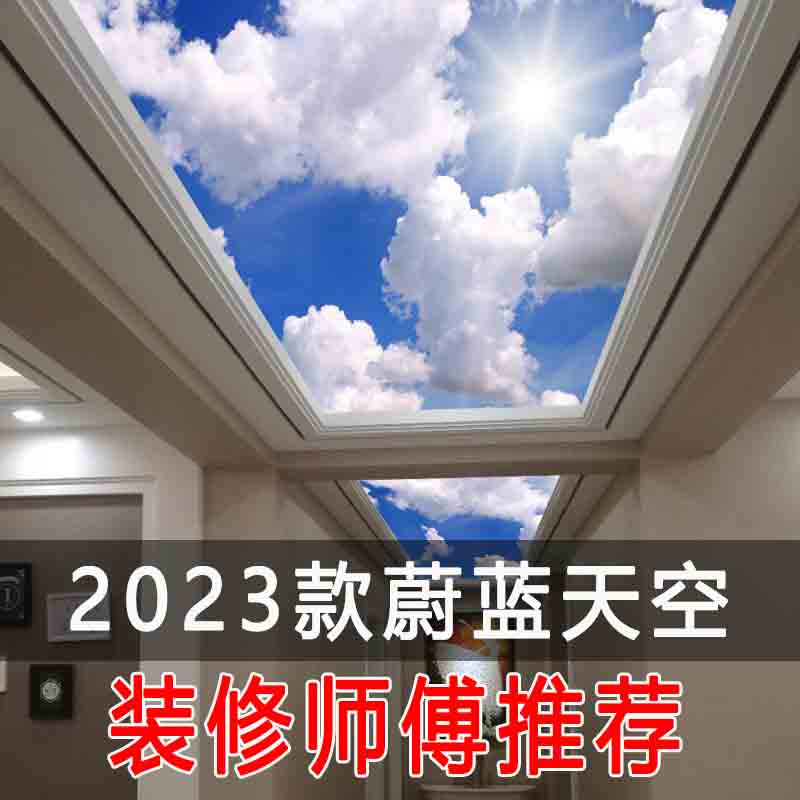 蓝天白云艺术玻璃吊顶亚克力透光板定制天树叶天空过道走廊吊顶