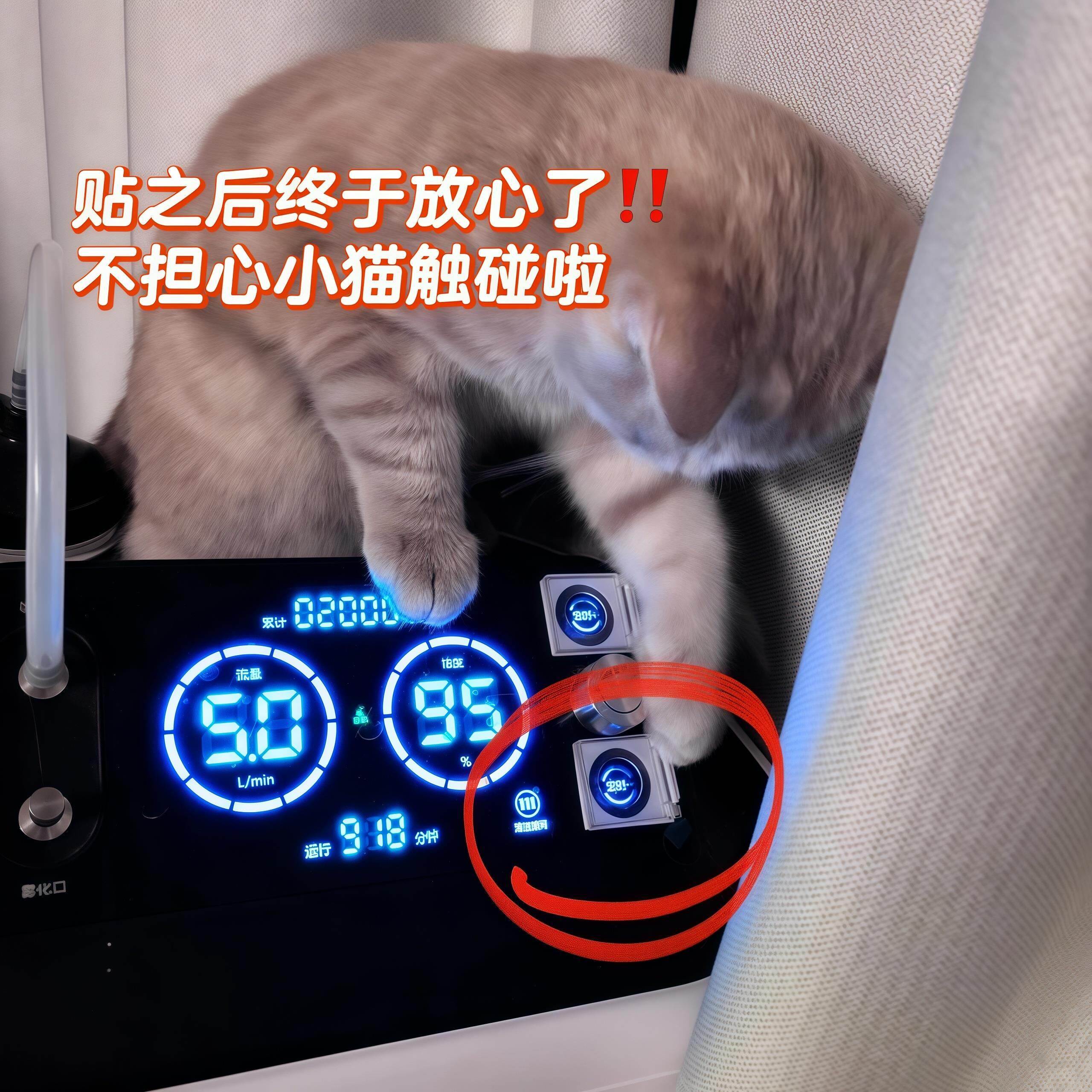 【防猫神器】电磁炉开关保