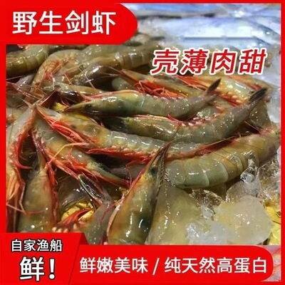 舟山滑皮虾大多有膏特大条虾深海