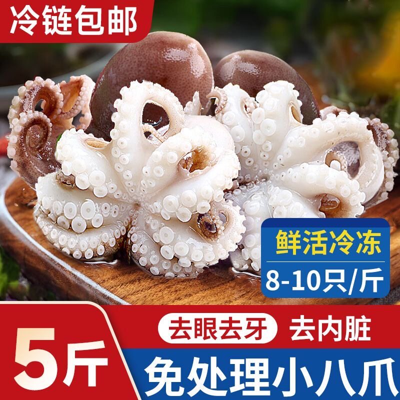 小八爪鱼新鲜迷你章鱼