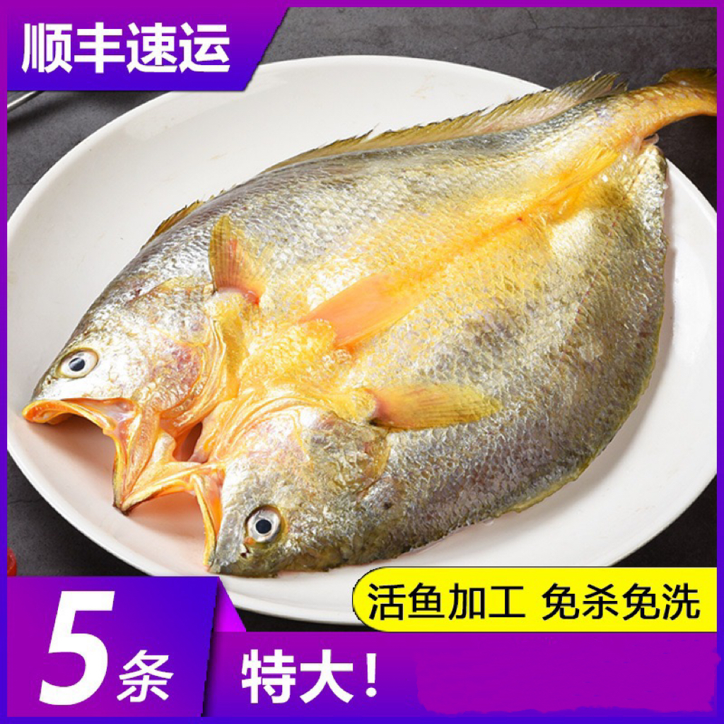 黄鱼鲞新鲜冷冻大黄鱼黄花鱼