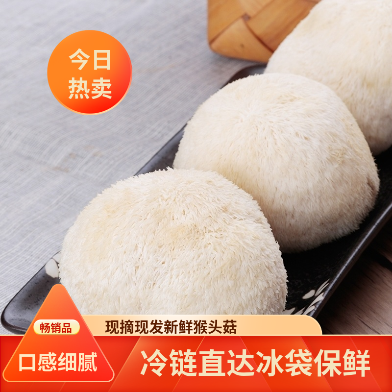 云南新鲜猴头菇营养健康食用菌