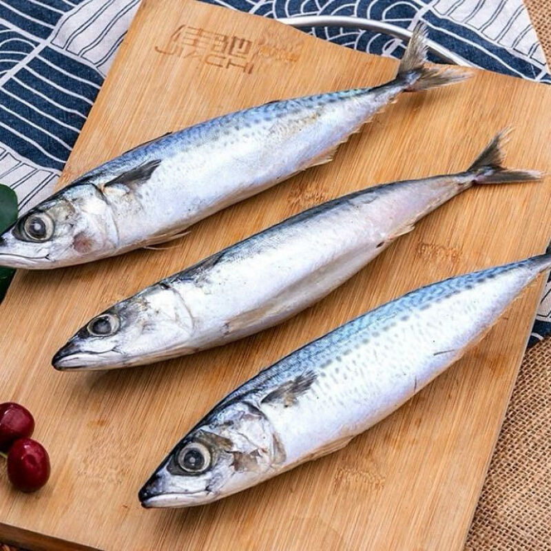 顺丰】鲐鱼 青占鱼 新鲜青花鱼 顺丰包邮小鲅鱼冷冻日料半斤/条