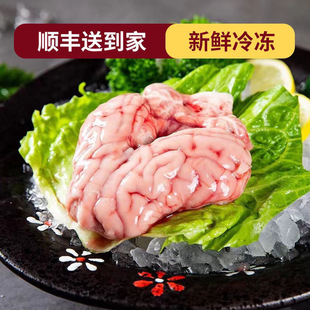 猪脑 冷冻新鲜猪脑花 猪脑子 锡纸脑花 火锅涮烤 猪脑髓顺丰包邮