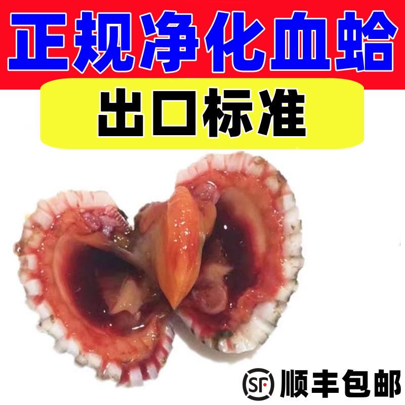 顺丰包邮二斤装花蛤鲜活血蛤银温州血哈毛蚶鲜毛蛤正宗新鲜