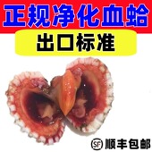 花蛤鲜活血蛤银温州血哈毛蚶鲜毛蛤正宗新鲜 二斤装 顺丰 包邮
