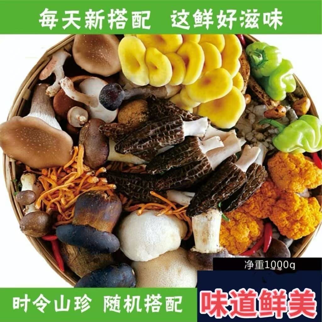 云南特产野培菌组合菌菇新鲜蘑菇杂菌鸡枞松茸特产食用菌汤火锅