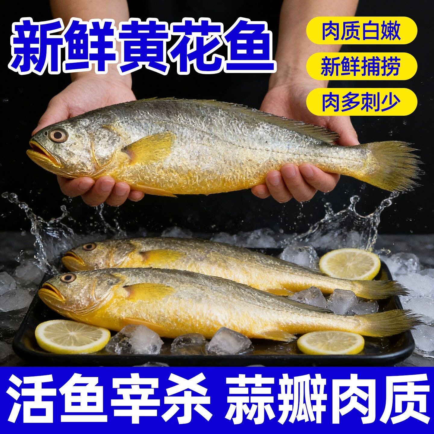 深海黄花鱼海捕锁鲜新鲜海货黄花鱼舟山东海活鲜真空包装
