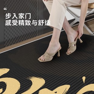 家用玄关轻奢高级感玄关防滑地毯 入户门地垫进门口脚垫2025新款