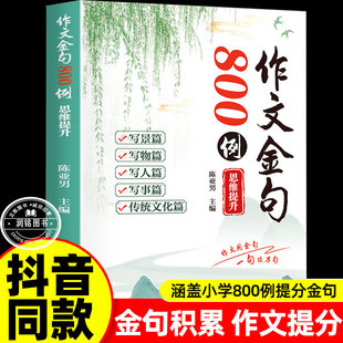 作文金句800例  词语积累作文金句归类大全八百例素材积累拓展视野好词好句好段描景写人事景物开头结尾写作技巧基础初中小学生