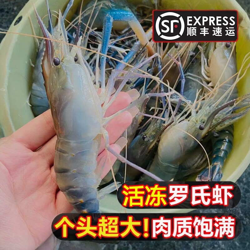 罗氏虾沼虾新鲜大头虾速冻鲜活冷冻大虾基围虾河虾虎头虾海鲜水产图片