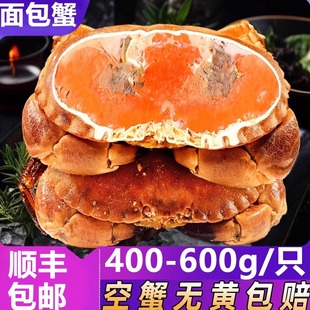 面包蟹超大黄金蟹熟冻英国黄道蟹鲜活水产珍宝蟹熟冻即食特大顺丰