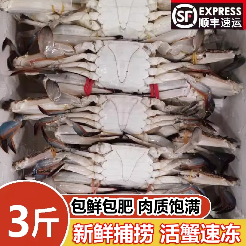 梭子蟹鲜冻特大野生海捕螃蟹冻蟹海蟹飞蟹螃蟹海鲜水产顺丰包邮