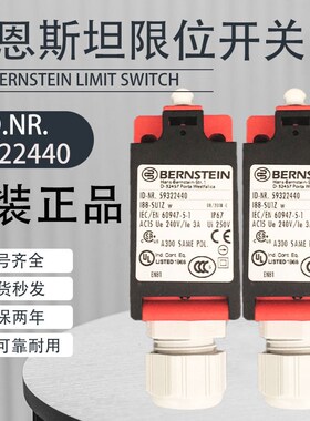/新品电梯配件 限速器开关 伯恩斯坦/618.6803.420 I88-A2Z w BER