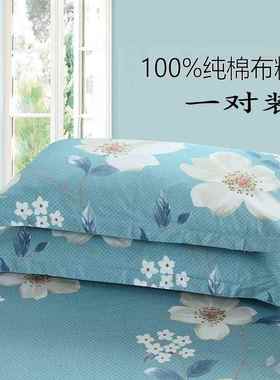 枕套一对装40x60小号30x33x35x40x45x50x55x60x65x70x75x120x150