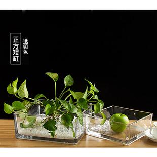 欧式鱼缸客厅玻璃正方形瓶浅口方缸绿萝睡莲水培长器