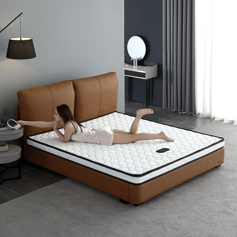 简欧宫庭天然E环保棕床垫家用经济型米.米软硬适中护脊床垫