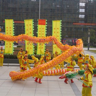 舞龙道具 九节龙 比赛竞技龙 密度绸布 钢丝饱满 质量