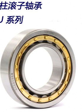 圆柱滚子轴承NU NJ NUP313 314 315 316 317 318 319 320 321 EM