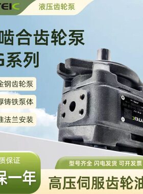 海特克内啮合齿轮泵油泵HG0-08/10/20/16HG1-25/40/50/63-01R-VPC