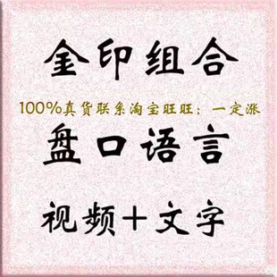 翁富 金印 盘口语言视频教程+全技术资料