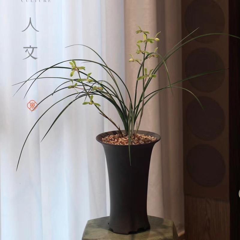 轻奢 东门第65款 花脚美人腰出汗泥紫砂兰花盆蕙兰建兰寒兰春剑盆