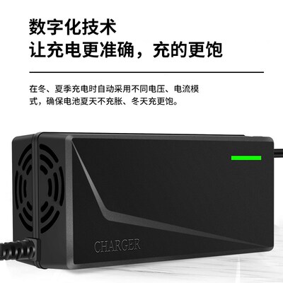 电动车充电器智能自动断电三轮伏石墨烯通用