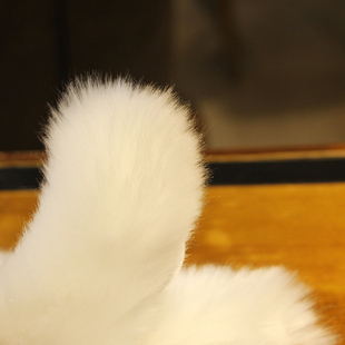 毛绒狗狗爱仿真娃娃玩偶狗大号马尔济斯犬萌宠睡觉抱枕公仔