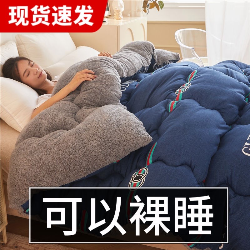 加厚10斤羊羔绒被子冬被空调被冬季绒棉被宿舍单双人被芯春秋被褥