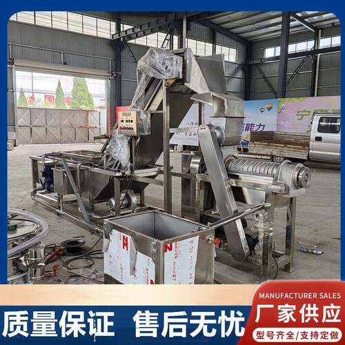 生姜葡萄榨汁设备大型丑橘桑葚冬瓜商用榨汁机工业果蔬破碎打汁机