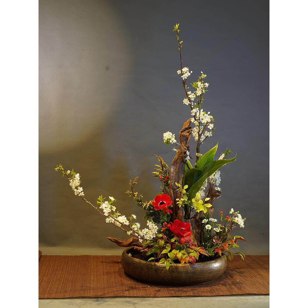 自然风化枯木雕刻根雕微景观景观插花木禅宗树根摆件花水沉木