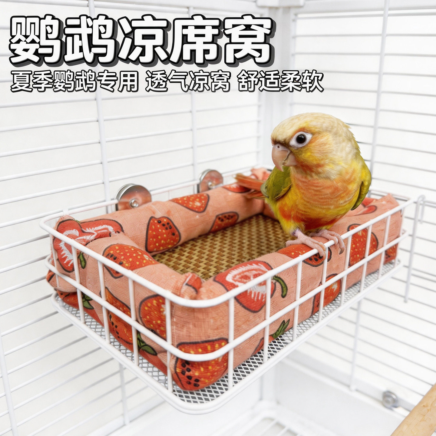 鹦鹉夏季凉席吊床可拆洗四季通用