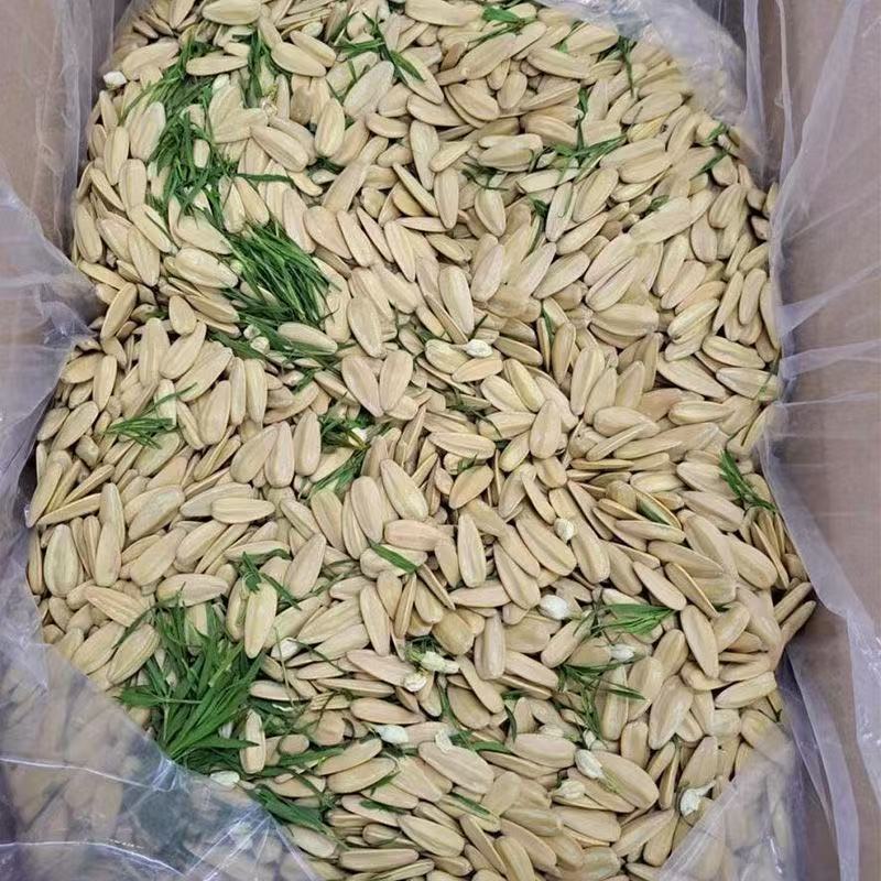 清香茶味瓜子大颗粒饱满葵花籽新货竹韵茉莉味瓜子坚果零食大瓜子